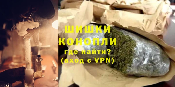 прущие грибы Белокуриха