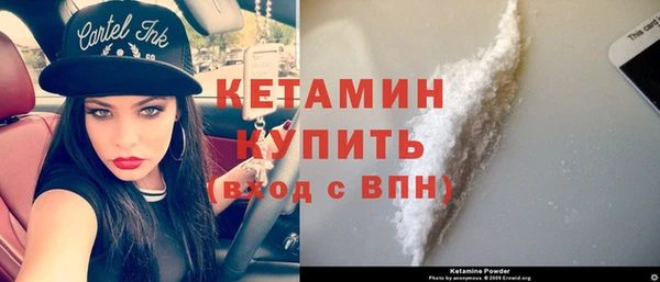 прущие грибы Белокуриха