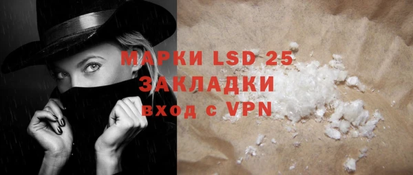 прущие грибы Белокуриха