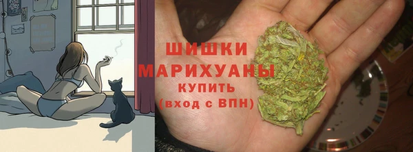 прущие грибы Белокуриха