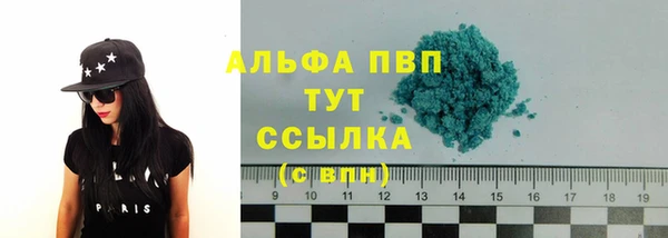 прущие грибы Белокуриха