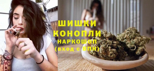 прущие грибы Белокуриха
