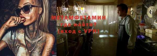прущие грибы Белокуриха