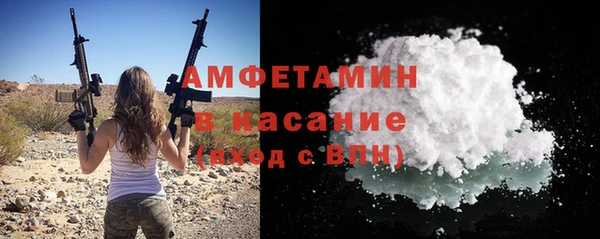 прущие грибы Белокуриха