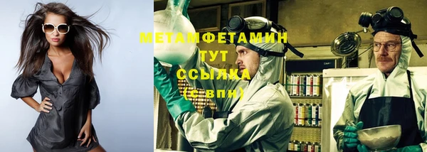 прущие грибы Белокуриха