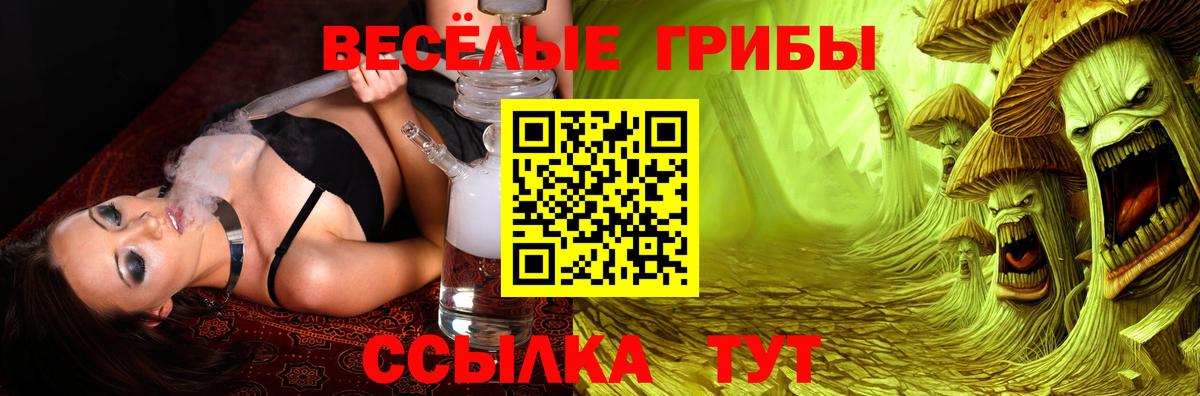 Псилоцибиновые грибы GOLDEN TEACHER Бутурлиновка