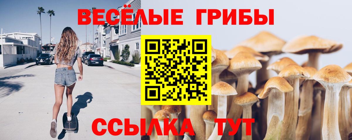 Галлюциногенные грибы Cubensis  Псилоцибиновые грибы Psilocybine cubensis  Бутурлиновка  Вход с VPN 
